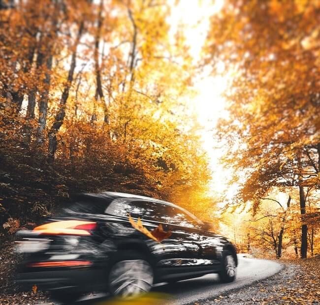 Auto fährt durch Herbstwald